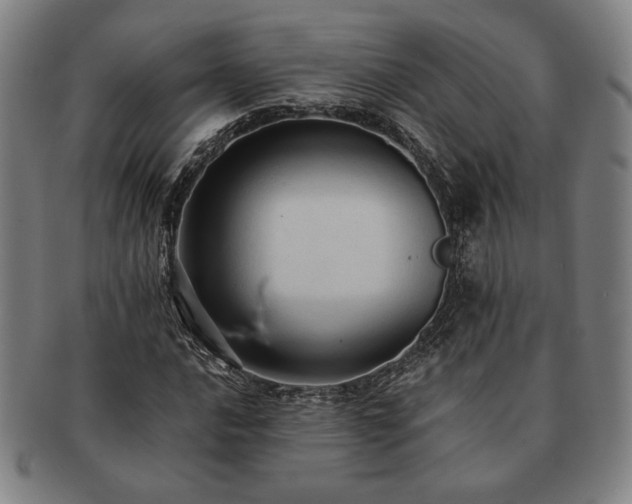 X0000091461016200708231312