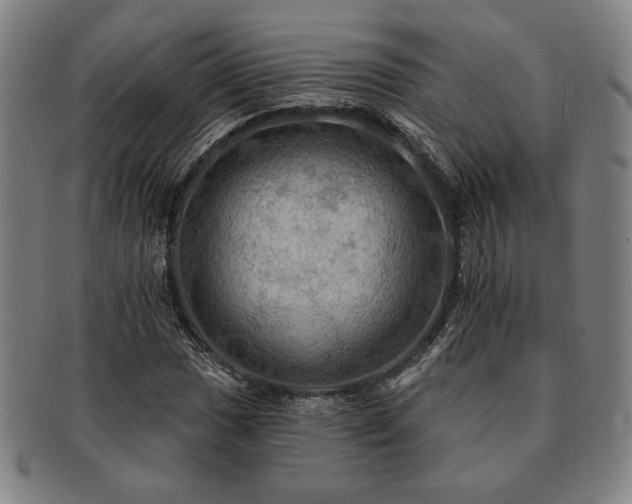 X0000091461017200708231312