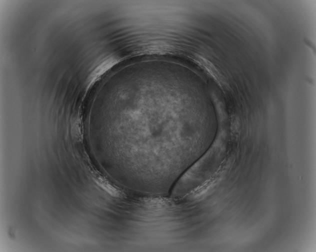 X0000091461018200708231312