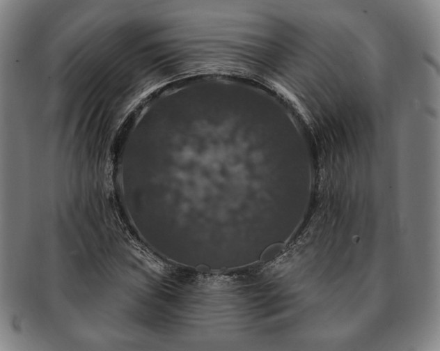 X0000091461019200708231312