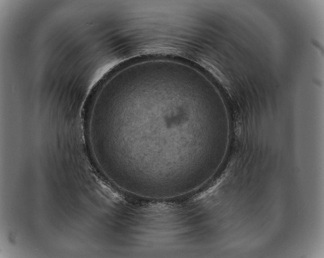 X0000091461022200708231312