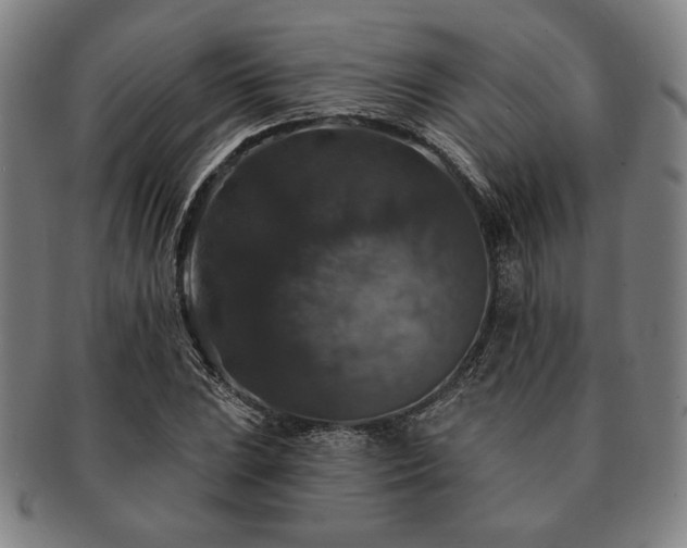 X0000091461023200708231312