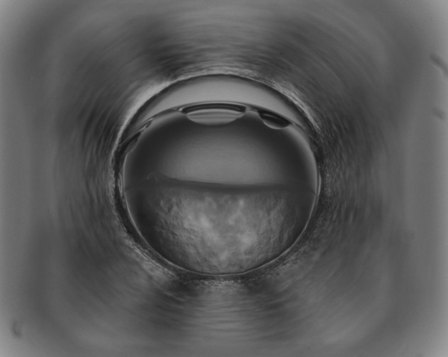 X0000091461024200708231312