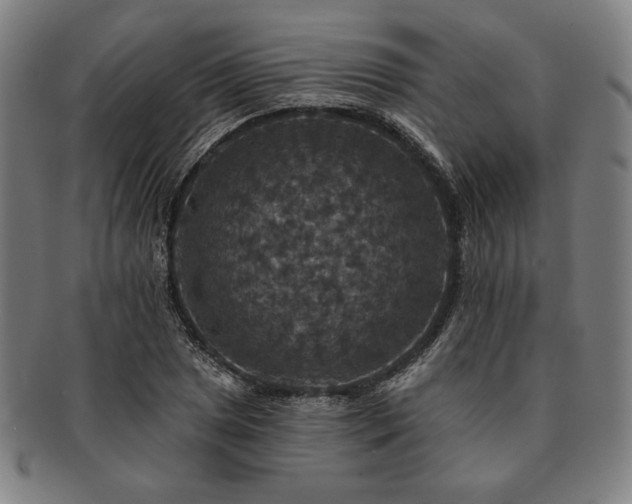 X0000091461025200708231312