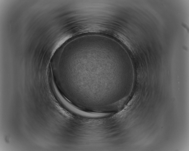X0000091461026200708231312