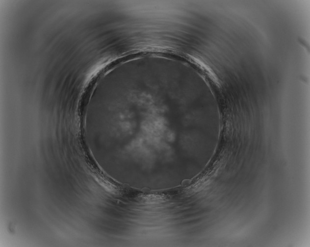 X0000091461027200708231312