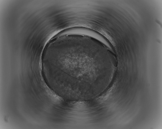 X0000091461028200708231312