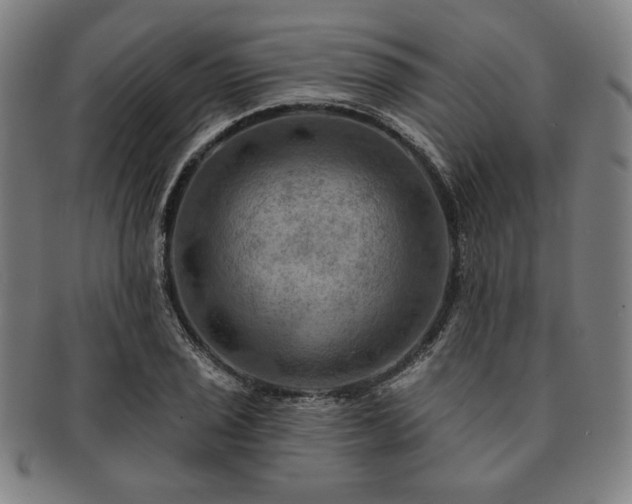 X0000091461029200708231312