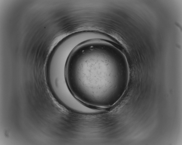 X0000091461030200708231312