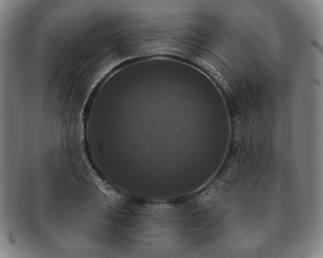 X0000091461031200708231312