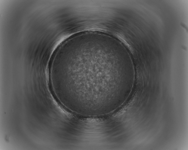 X0000091461032200708231312