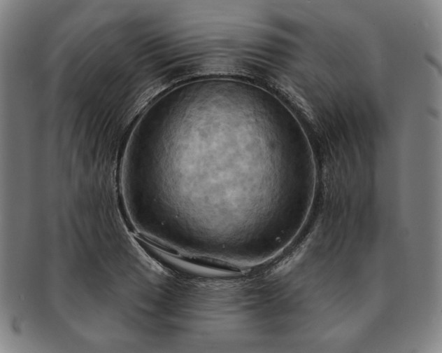 X0000091461033200708231312