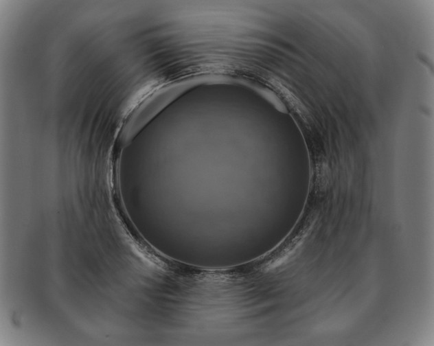 X0000091461034200708231312