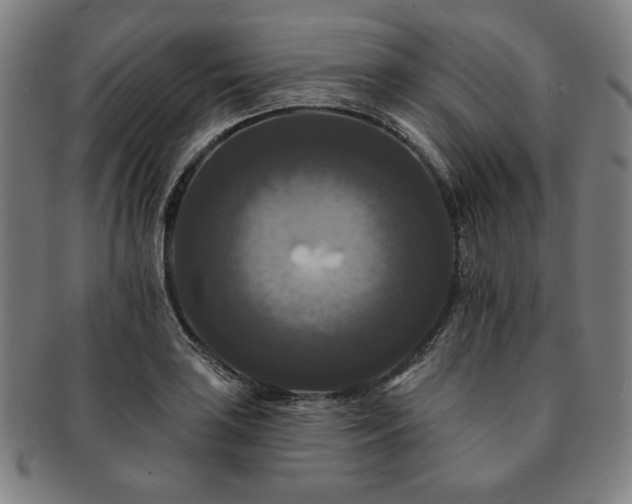 X0000091461035200708231312