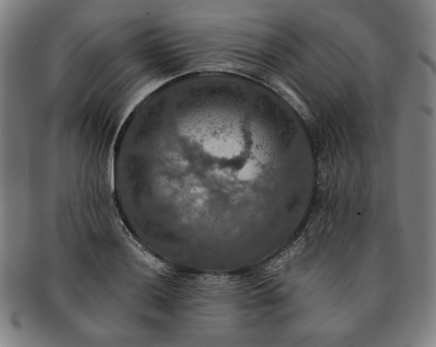 X0000091461036200708231312
