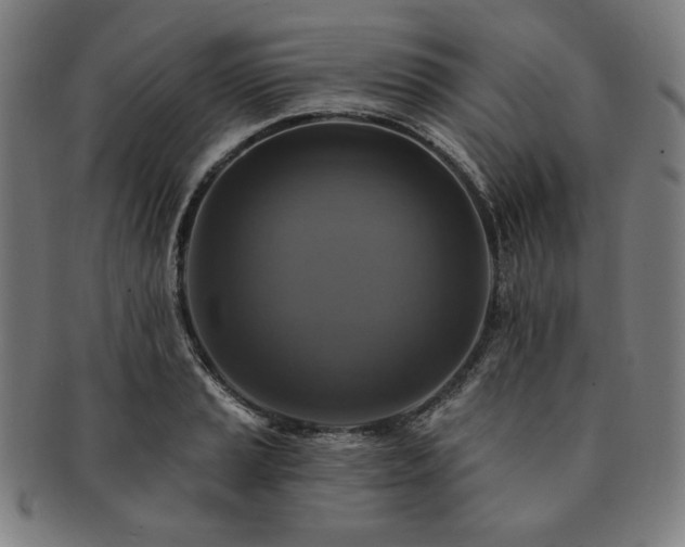 X0000091461037200708231312
