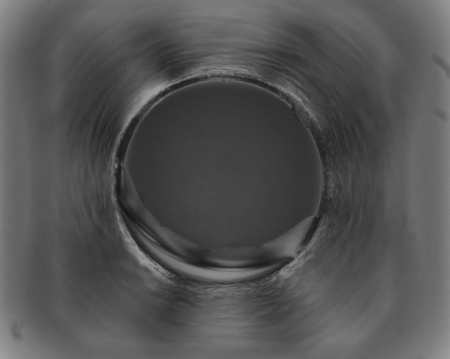 X0000091461038200708231312