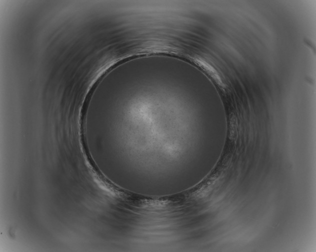 X0000091461039200708231312