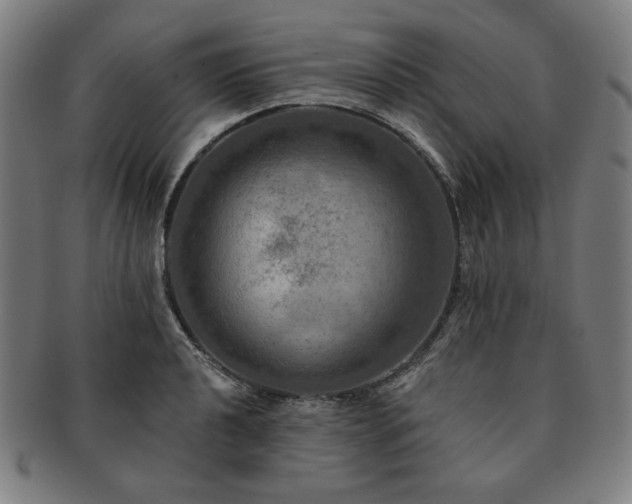 X0000091461040200708231312