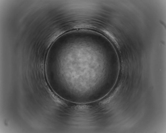 X0000091461041200708231312