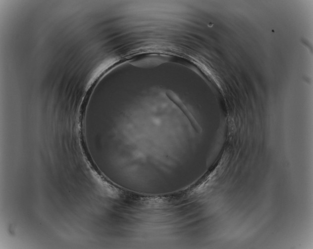 X0000091461042200708231312
