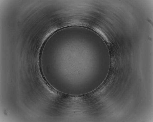X0000091461043200708231312