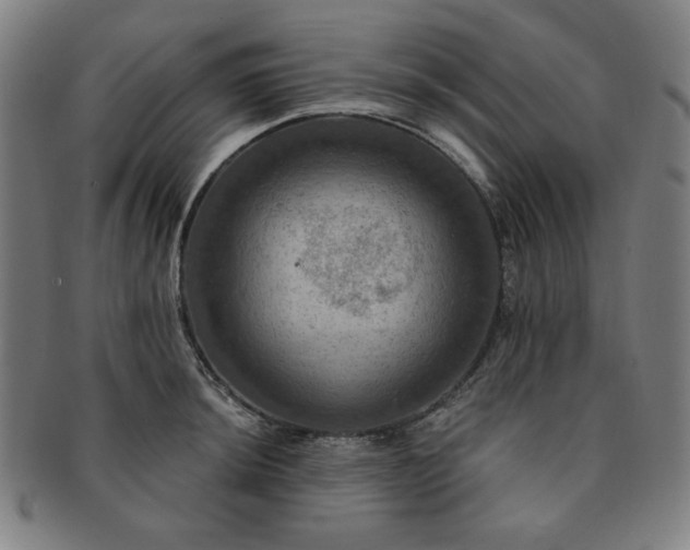 X0000091461044200708231312
