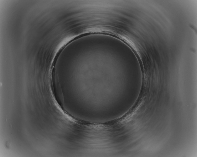 X0000091461045200708231312