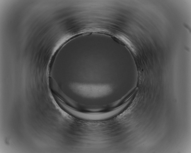 X0000091461046200708231312