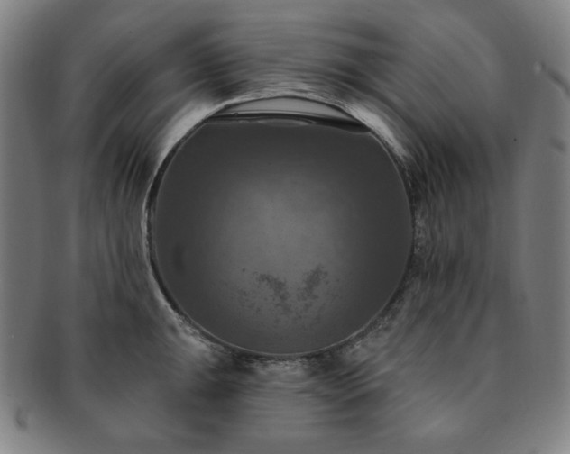 X0000091461047200708231312