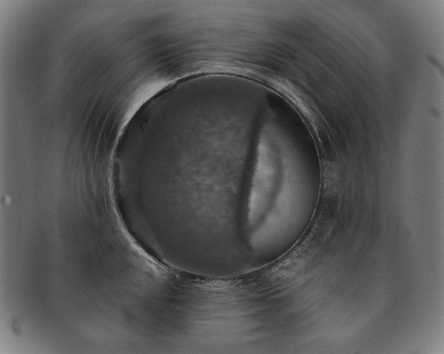 X0000091461048200708231312