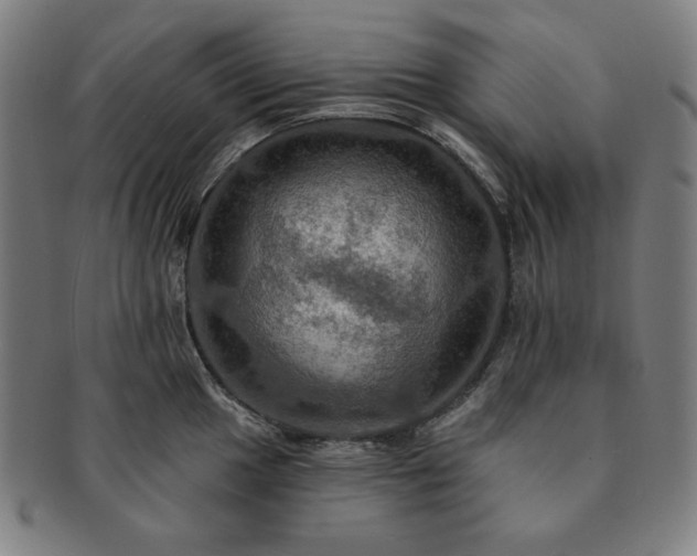 X0000091461049200708231312