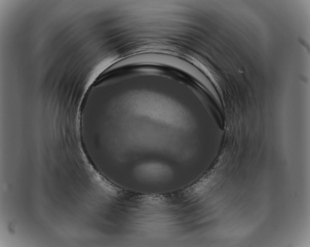 X0000091461050200708231312