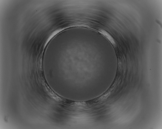 X0000091461052200708231312