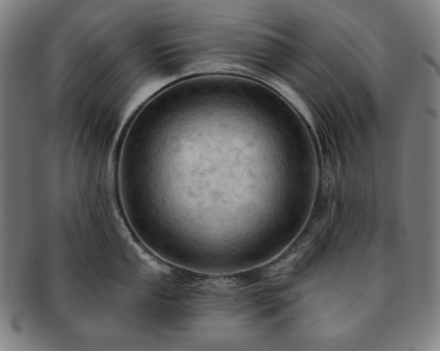 X0000091461053200708231312