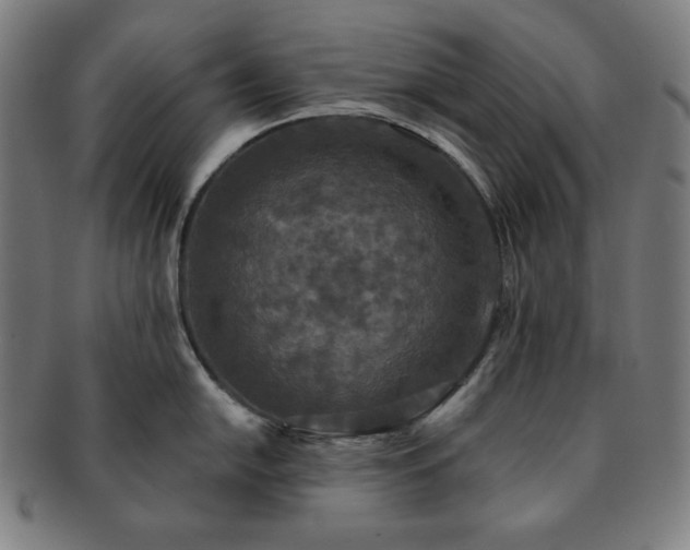 X0000091461054200708231312