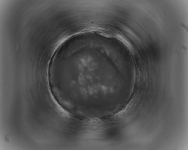 X0000091461055200708231312