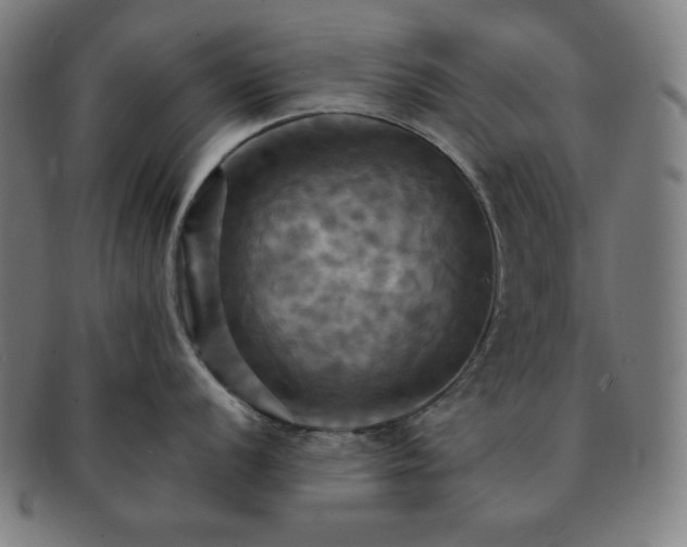 X0000091461056200708231312