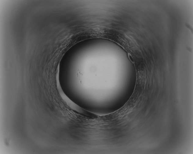 X0000091461057200708231312