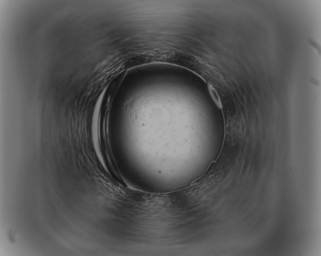 X0000091461058200708231312