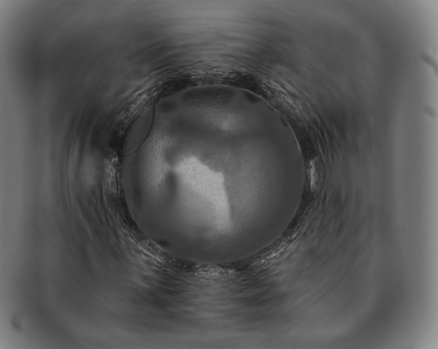 X0000091461059200708231312