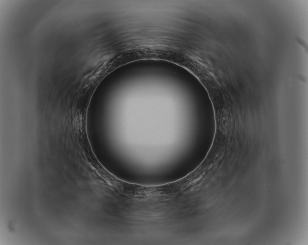 X0000091461061200708231312