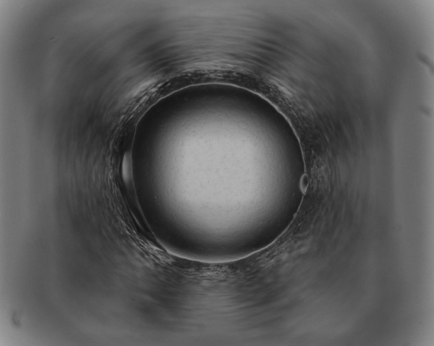 X0000091461062200708231312