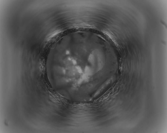 X0000091461063200708231312