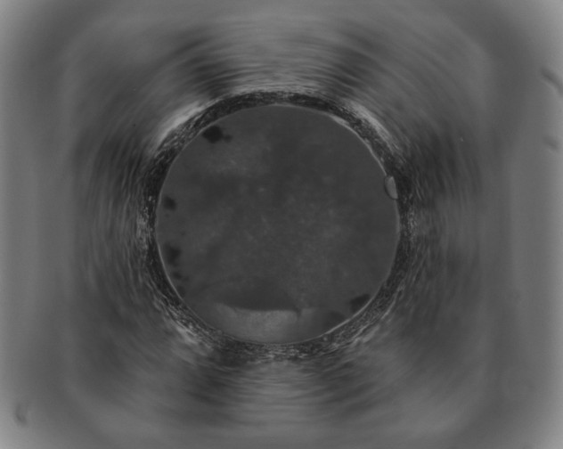 X0000091461064200708231312