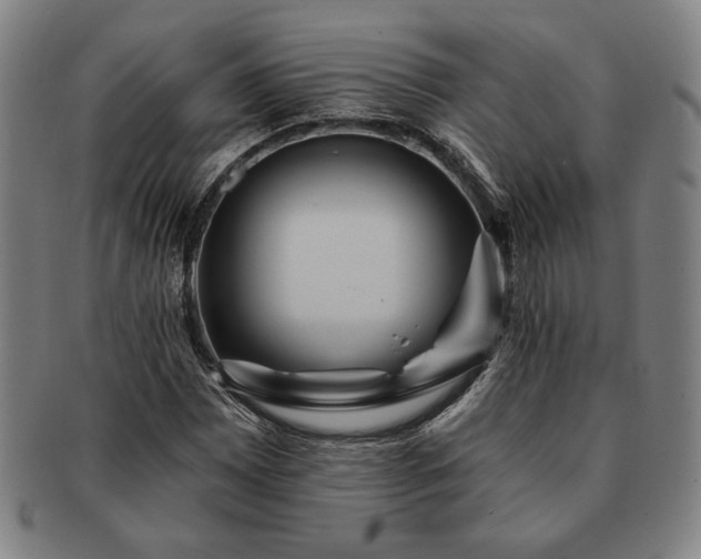 X0000091461065200708231312