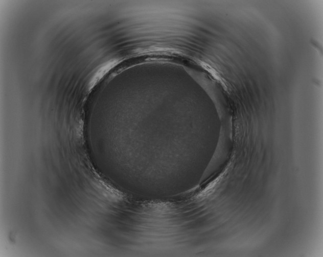 X0000091461066200708231311