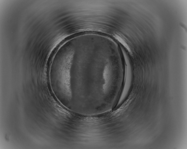 X0000091461068200708231311