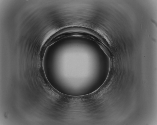 X0000091461069200708231311
