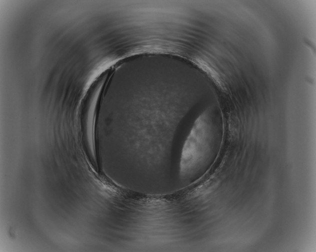 X0000091461070200708231311